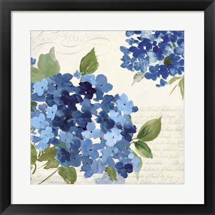 Framed Hampton Hydrangea I Print