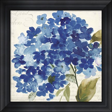 Framed Hampton Hydrangea II Print
