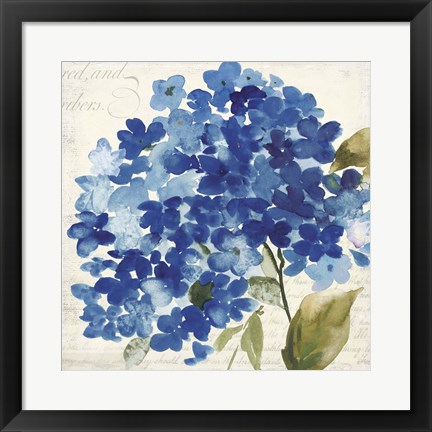 Framed Hampton Hydrangea II Print