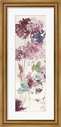 Framed Sweet Hydrangea IV Print