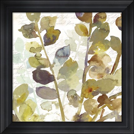 Framed Solarium II Print