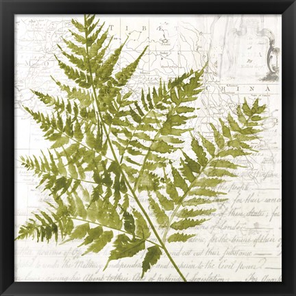 Framed Fern I Print