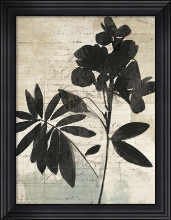 Framed Inky Floral II Print