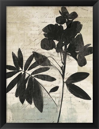 Framed Inky Floral II Print
