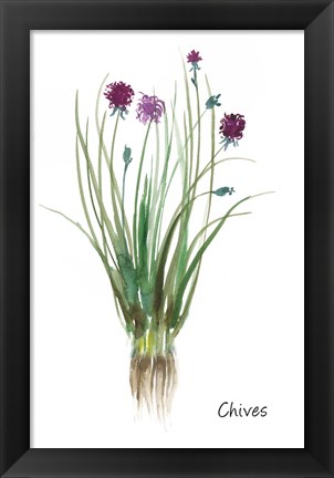 Framed Chives Print