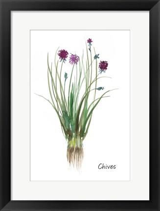 Framed Chives Print