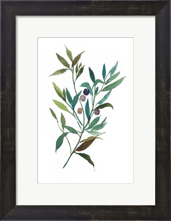 Framed Olive I Print