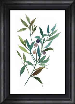Framed Olive I Print
