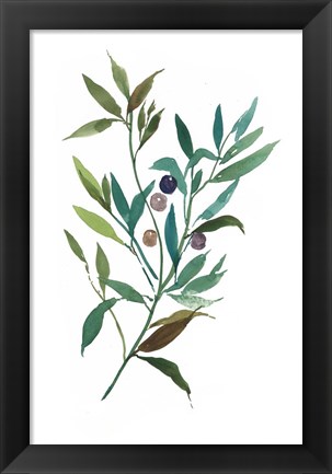 Framed Olive I Print