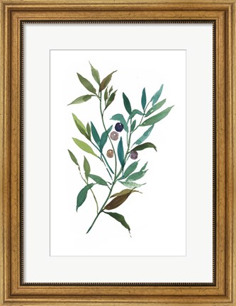 Framed Olive I Print