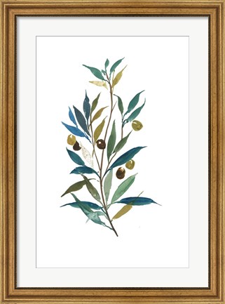 Framed Olive II Print