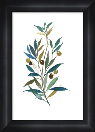 Framed Olive II Print