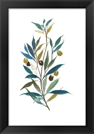 Framed Olive II Print