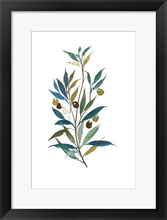 Framed Olive II Print