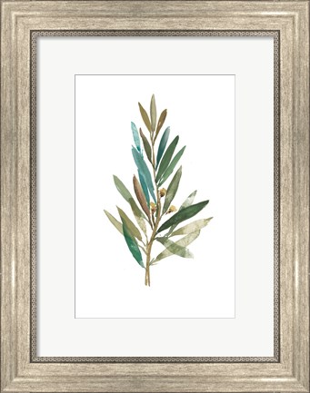 Framed Olive III Print