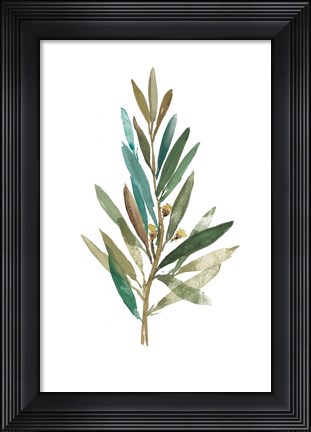 Framed Olive III Print