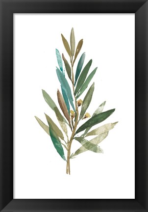 Framed Olive III Print