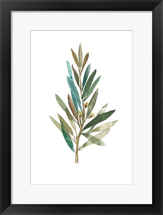 Framed Olive III Print