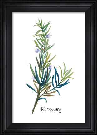 Framed Rosemary I Print
