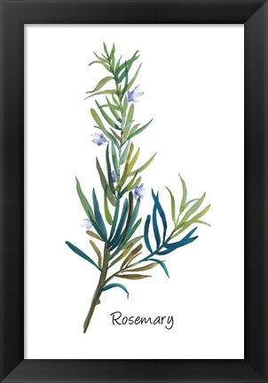 Framed Rosemary I Print