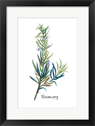 Framed Rosemary I Print