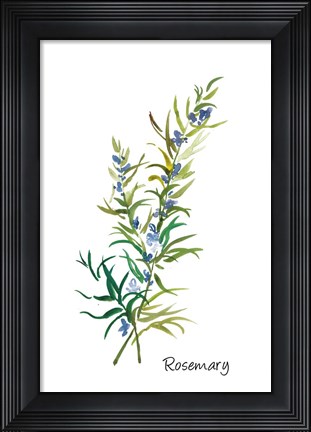 Framed Rosemary II Print