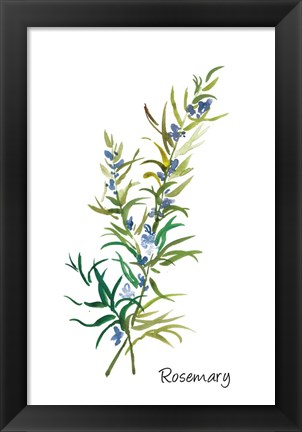 Framed Rosemary II Print