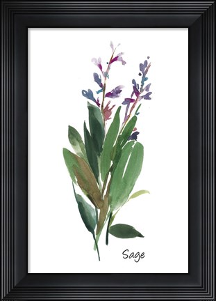 Framed Sage I Print