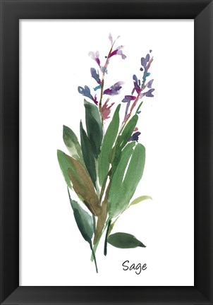 Framed Sage I Print