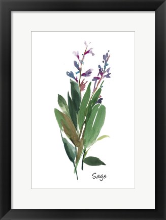 Framed Sage I Print