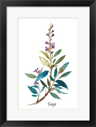 Framed Sage II Print