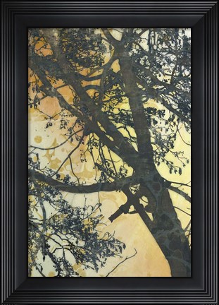 Framed Bubbly Branches Print