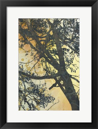 Framed Bubbly Branches Print