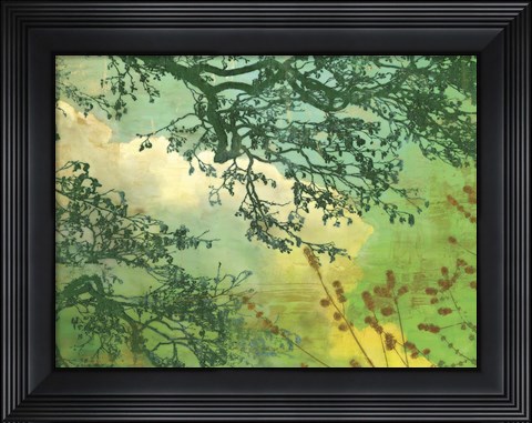 Framed Branches and Clouds Print