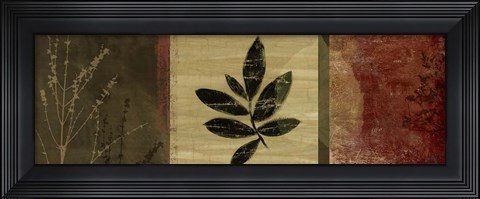 Framed Leaf Impressions II Print