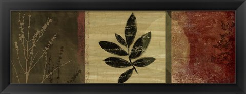 Framed Leaf Impressions II Print