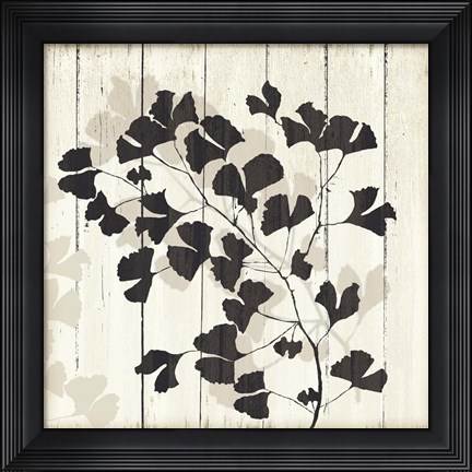 Framed Shadow on Wood I Print