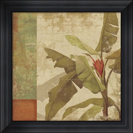 Framed Planta Print