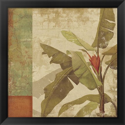 Framed Planta Print