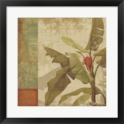 Framed Planta Print