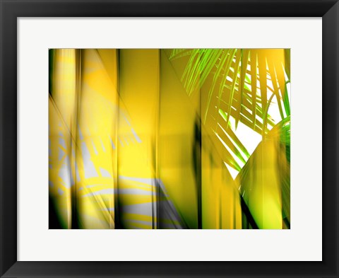 Framed Yellow Shades Print