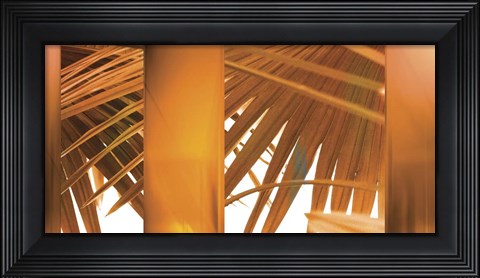 Framed Tangerine Print
