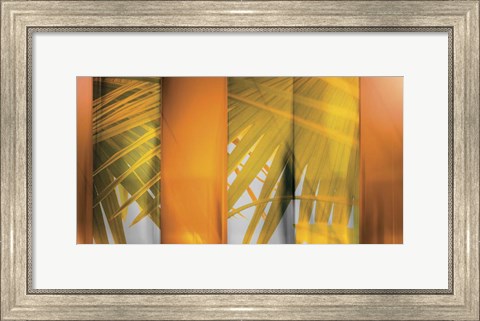 Framed Tangerine and Cream Print
