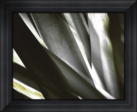 Framed Transparent Print