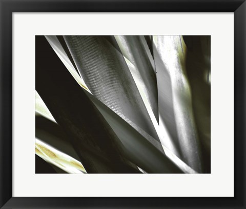 Framed Transparent Print