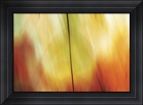 Framed Tie Dye I Print