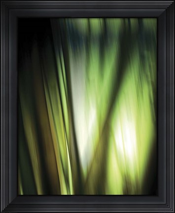 Framed Organic I Print