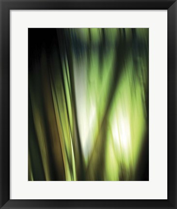 Framed Organic I Print