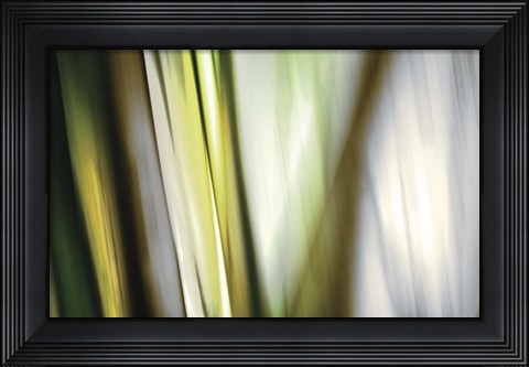 Framed Organic II Print
