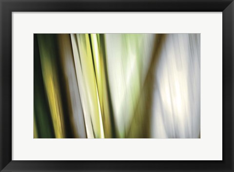 Framed Organic II Print